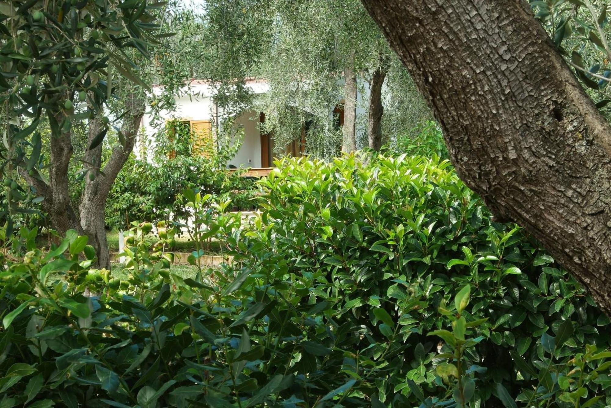 Saracena Holiday Home Featured With Private Beach And Swimming Pool Mattinata Dış mekan fotoğraf
