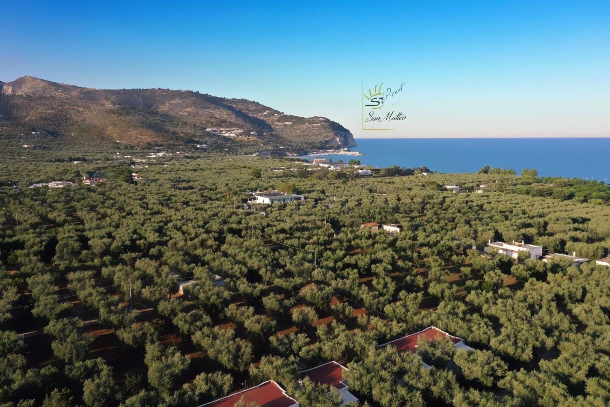Saracena Holiday Home Featured With Private Beach And Swimming Pool Mattinata Dış mekan fotoğraf
